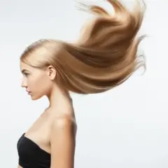 Insuranceiceofsarasotainc